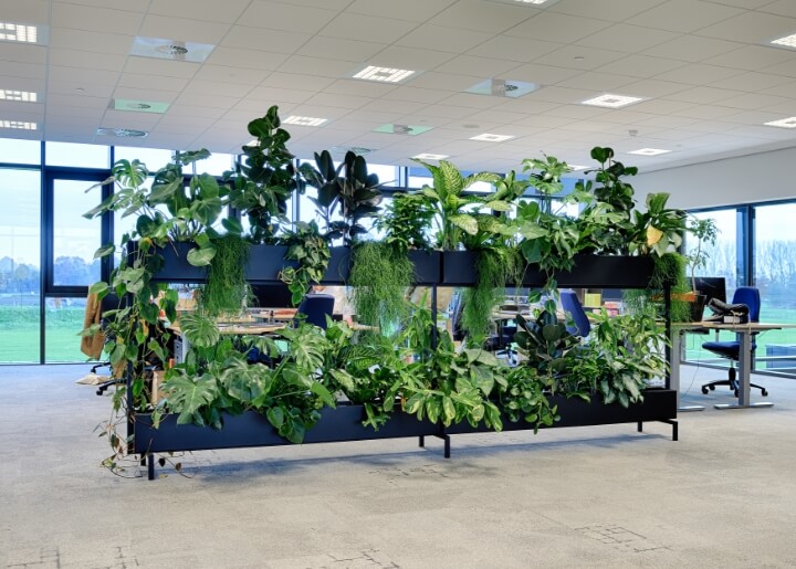 kantoor vol planten