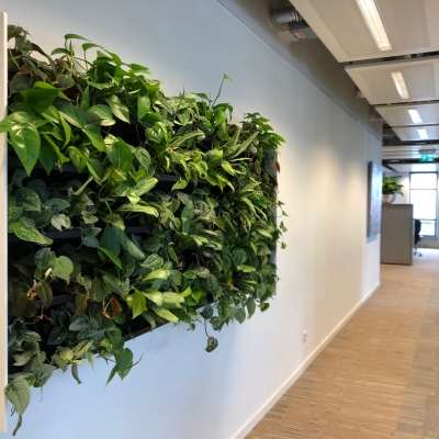 Living Wall