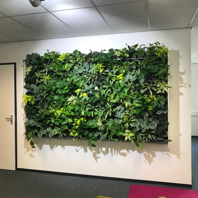 Living Wall Aalsmeer